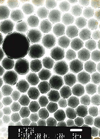 コロイダルシリカの電子顕微画像